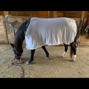 Moxie Fly Sheet